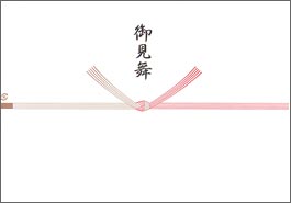 お見舞いのし