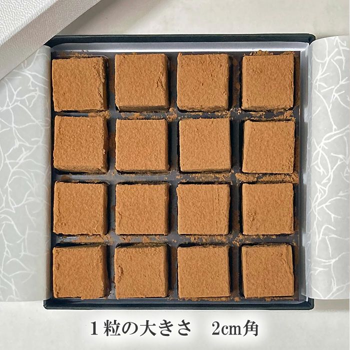 プレミアム生チョコレート16個入り