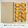 マドレーヌ10個入